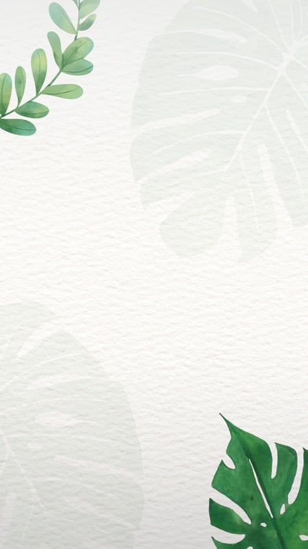 Green White Watercolor Nature Background Instagram Story
