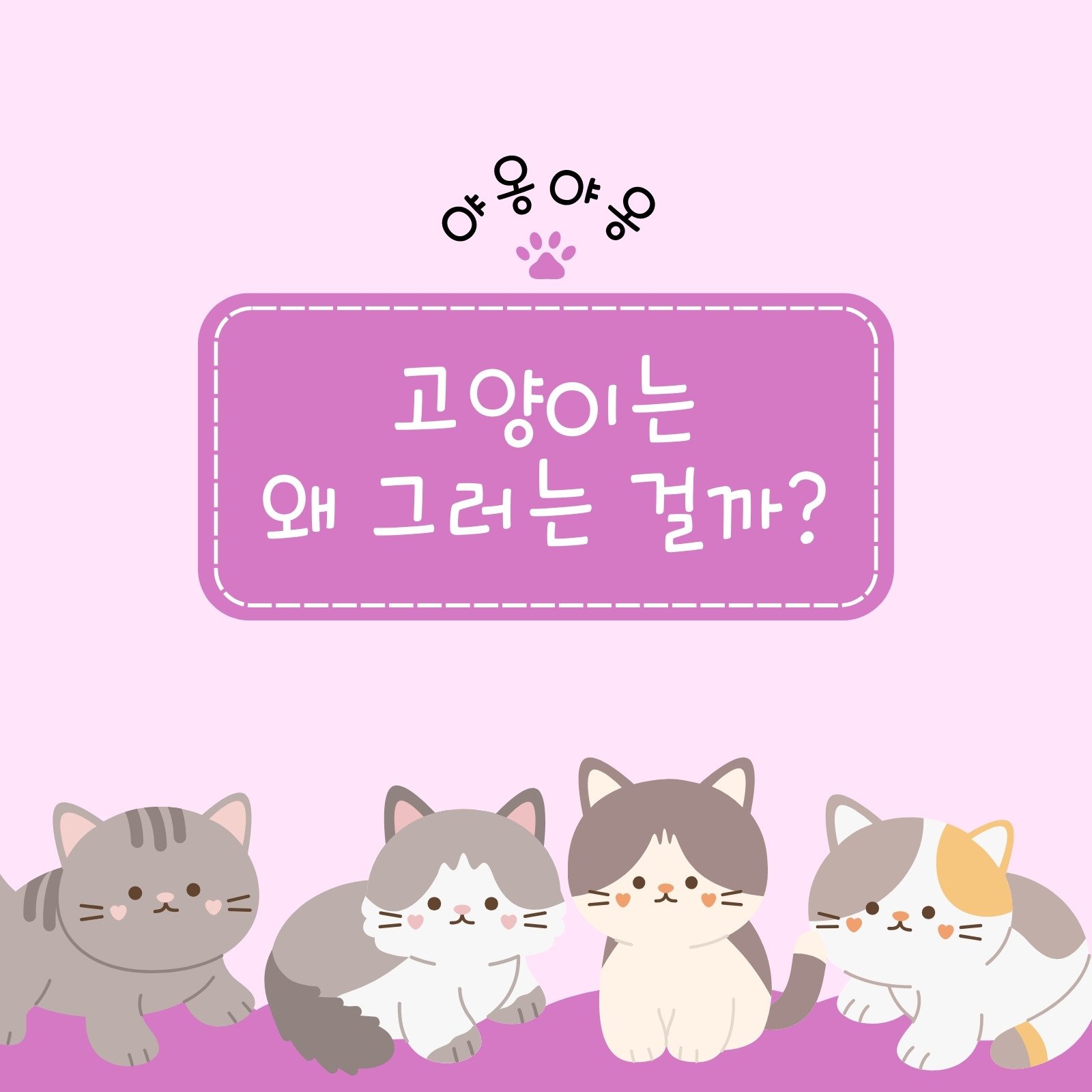 화면 배경 파워 포인트 고양이