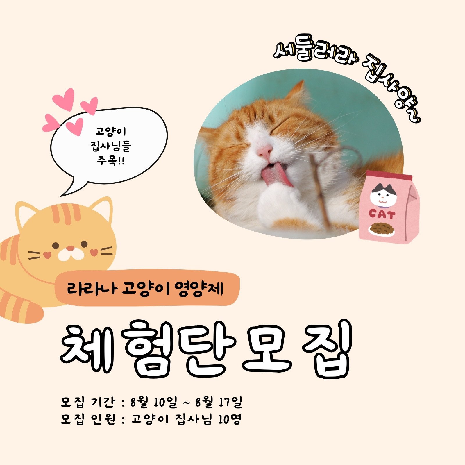 화면 배경 파워 포인트 고양이