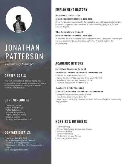 customize 86  professional resume templates online