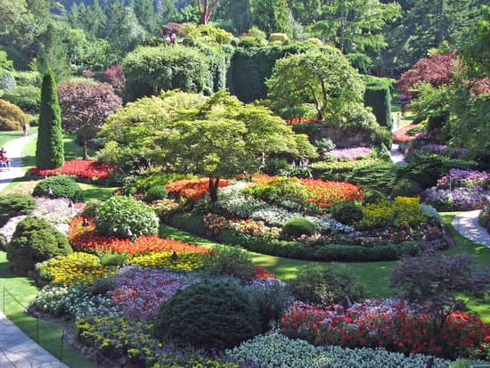 Butchart Gardens In The Rainy Day Photos By Canva