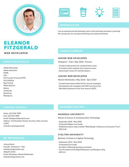 customize 139  infographic resume templates online