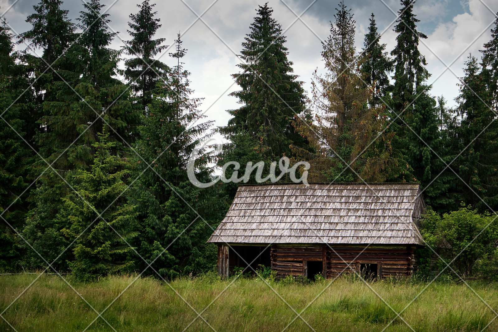 Old Log Cabin In The Forest Photos By Canva