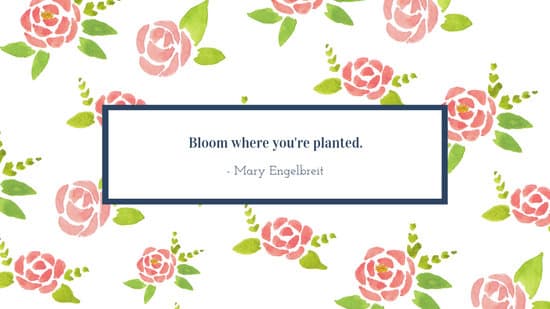 Roses Pattern Quote Flower Desktop Wallpaper Templates By