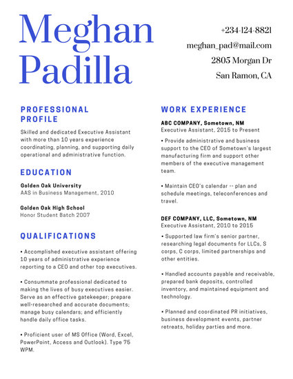 customize 294  professional resume templates online