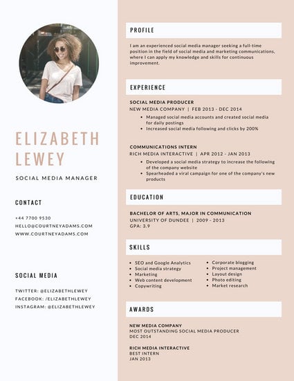 feminine modern infographic resume