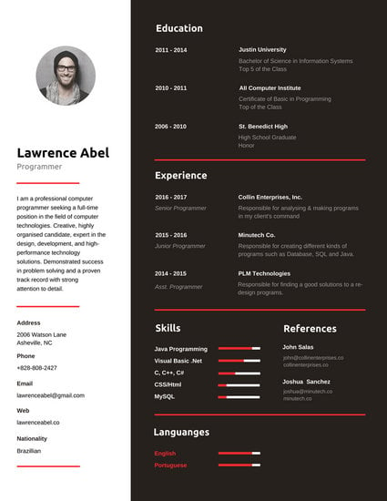 red and black programmer infographic resume