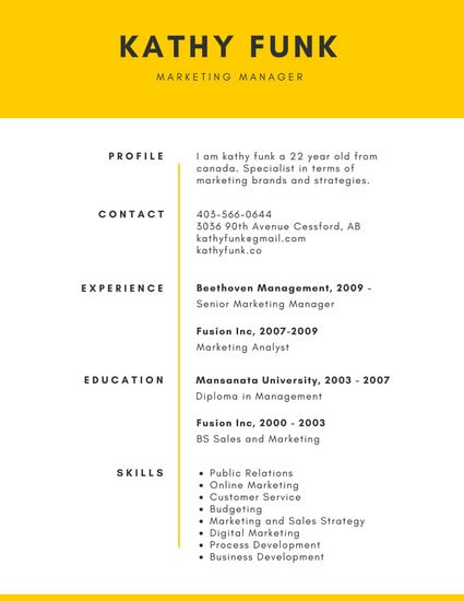 corporate sales marketing resume