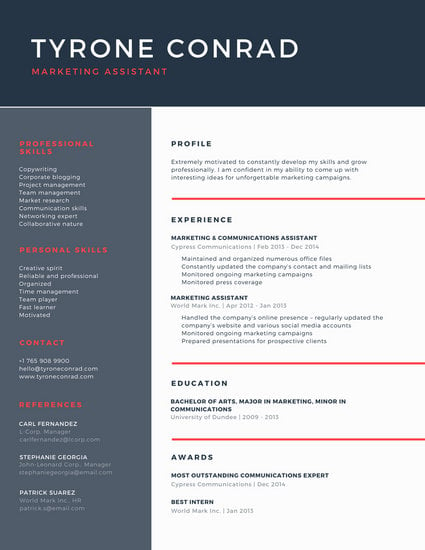 dark blue and red corporate resume