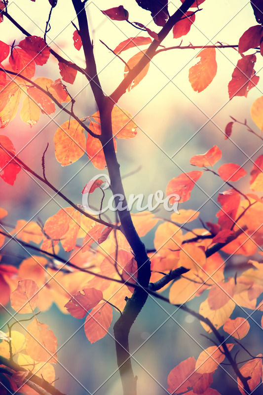 Ink Vertical Fall Background - Photos by Canva