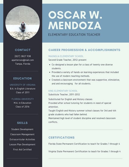 customize 527  simple resume templates online
