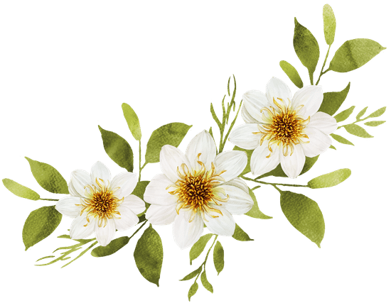 Download White Watercolor Flowers Bouquet Decoration. - Photos by Canva