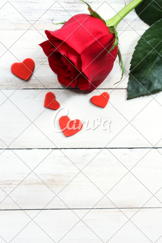 Single Red Rose On White Wooden Background For Valentines Day