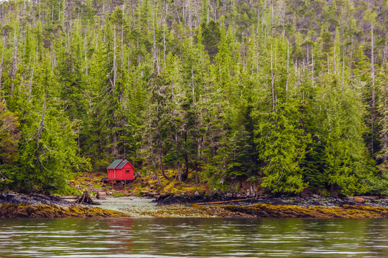 Red Forest Cabin Photos By Canva