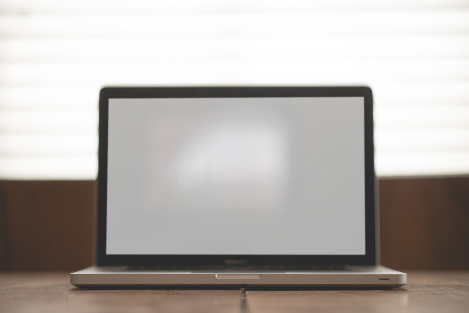 Image result for Macbook white screen