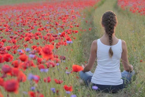 Woman Sitting on a Field of Poppies