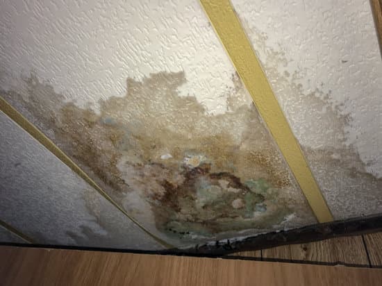 Water Damaged Ceiling And Wall Photos By Canva