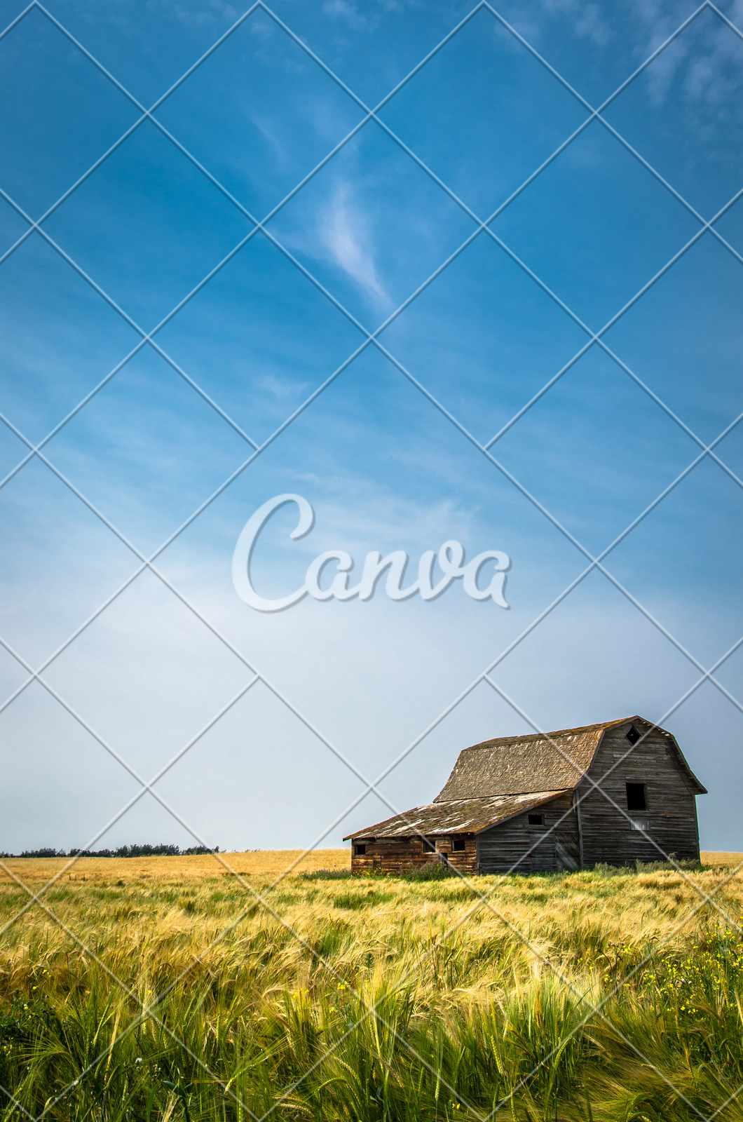 Old Barns Photos By Canva