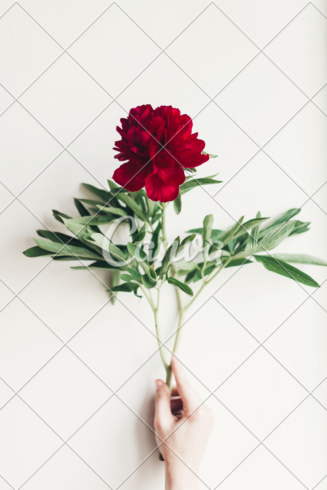 Red Flower Frame For Wedding Background Stock Photo