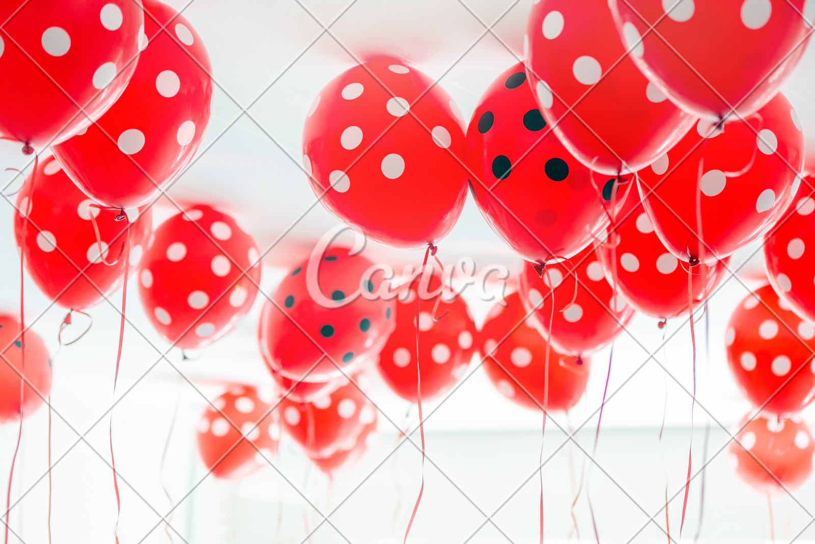 Beautiful Red Dotted Balloons Floating At White Ceiling