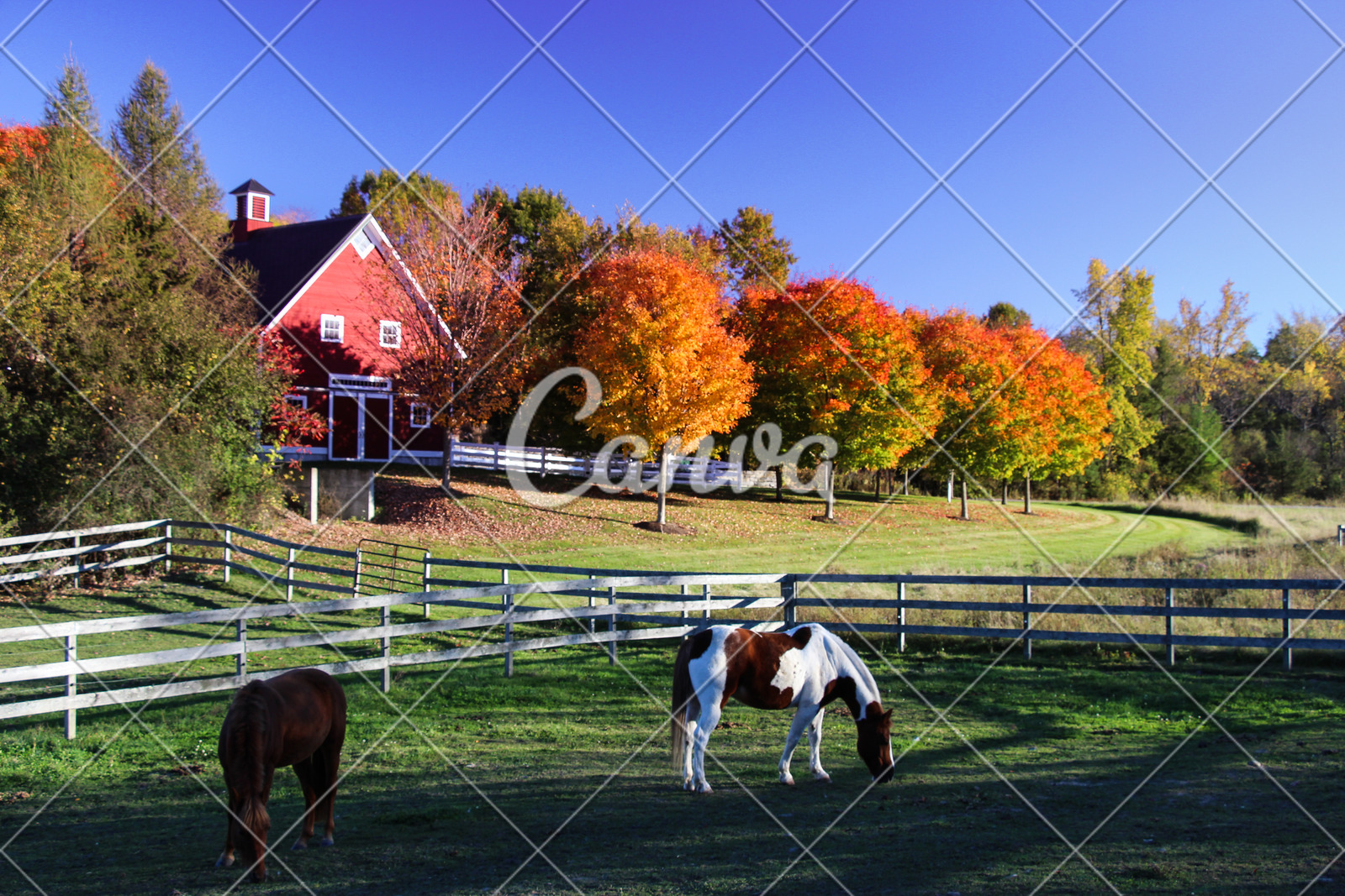 Vermont Farms And Barns All Seasons Photos By Canva