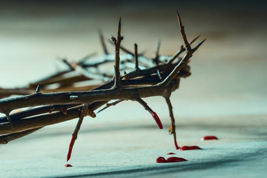 Crown Of Thorns With Blood Drops Christian Symbol Photos By Canva