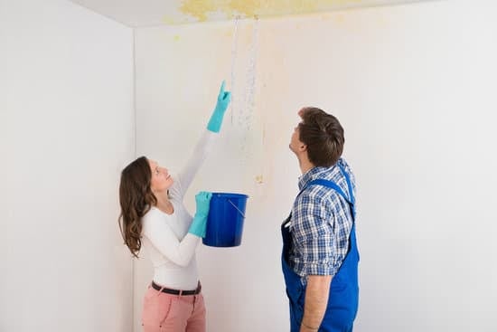 Woman Showing Water Leaking From Ceiling To Maintenance Guy