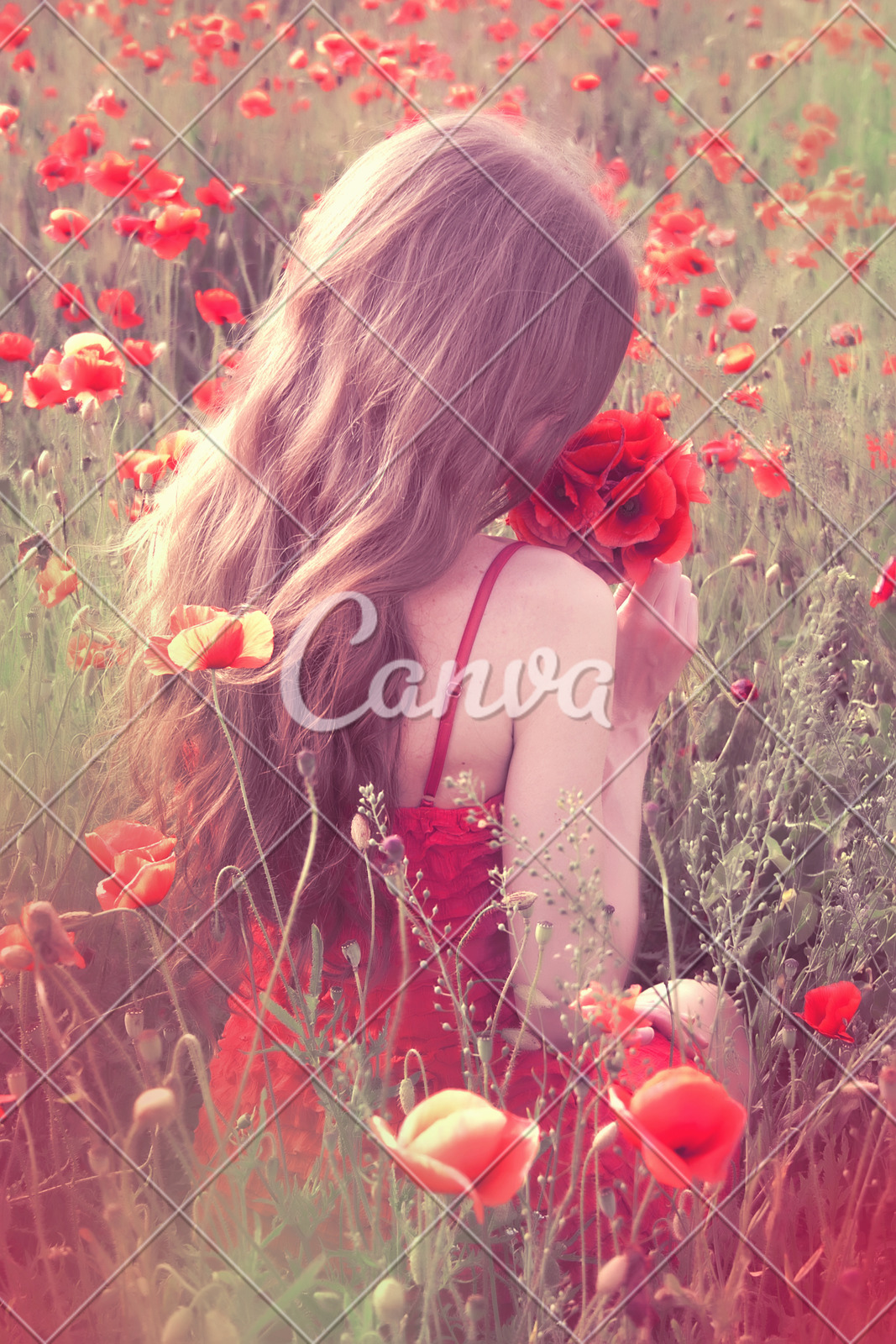 Back View Of A Young Woman With Long Blonde Hair Photos By Canva