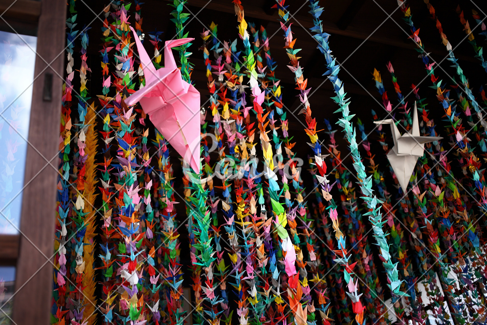 Thousand Colorful Origami Paper Cranes Photos By Canva