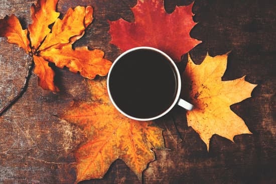 Image result for fall background