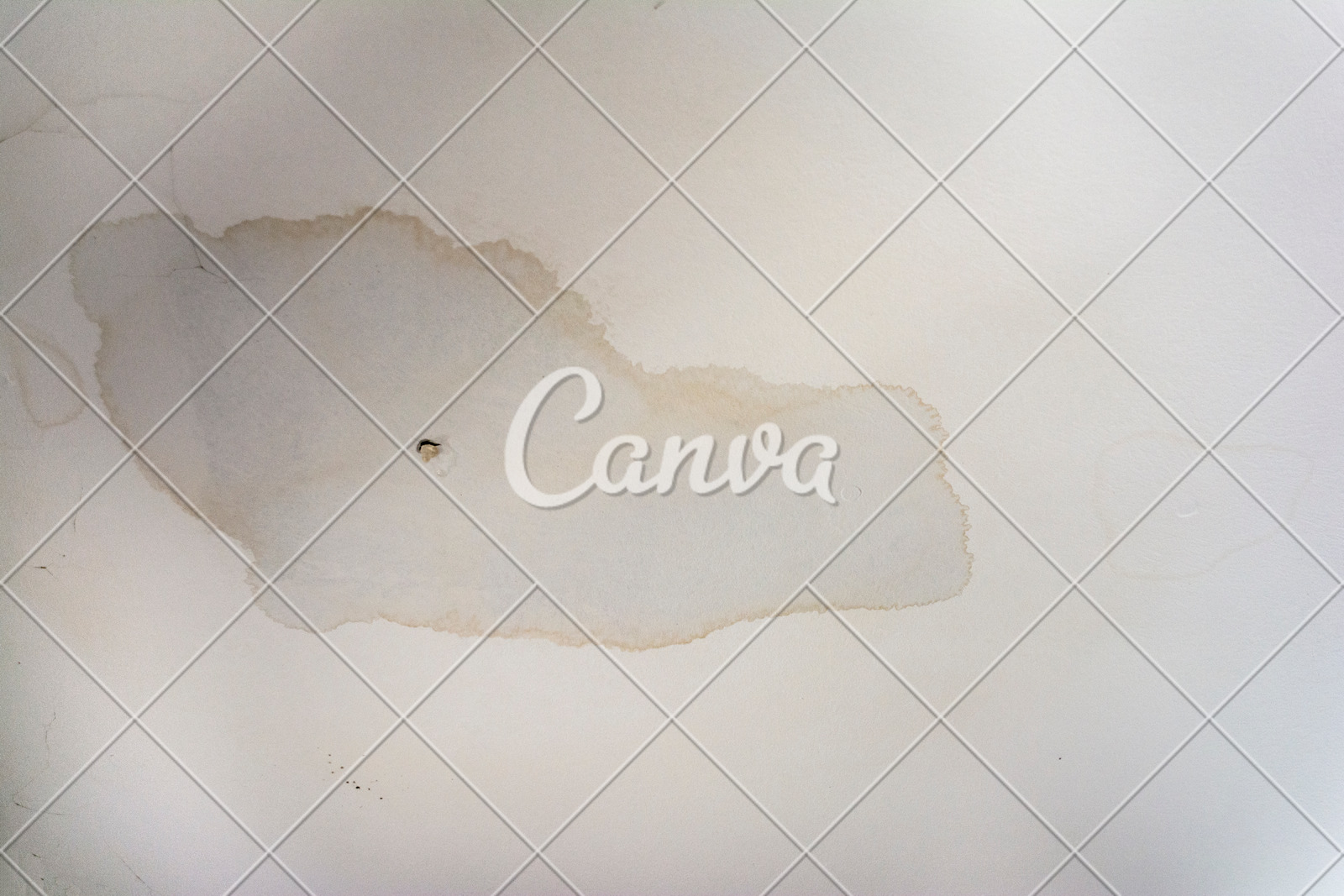 Interior Water Spots On Ceiling Mold Disrepair Damage Tiles