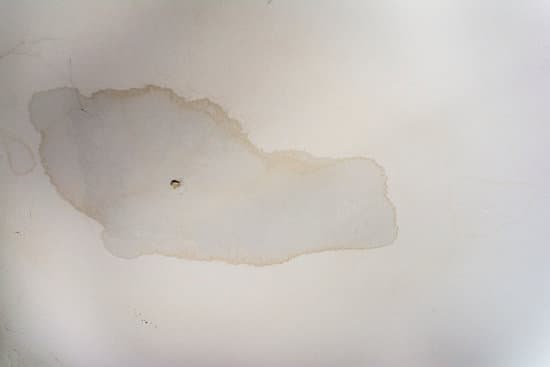 Interior Water Spots On Ceiling Mold Disrepair Damage Tiles