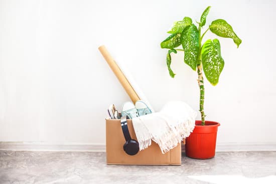 Moving Things In Boxes Garage Sale Flower In A Pot On A White