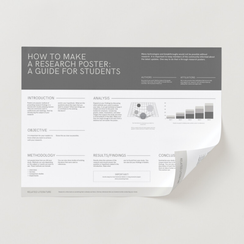 Charcoal and Beige Simplified Professional Landscape University Research Poster