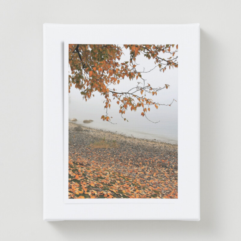 Clean Aesthetic Autumn Tree Photo Frame Canvas Print