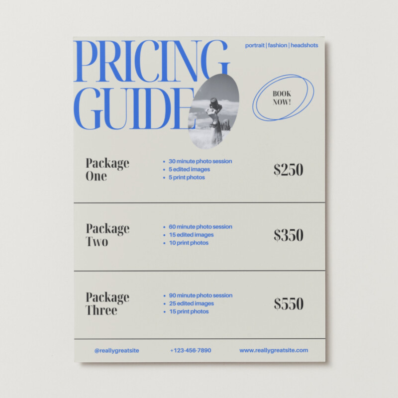 Beige and Blue Modern Pricing Guide Flyer