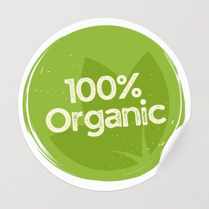 Cotton Icon, Organic Eco And Bio Natural Vector Logo. 100 Percent