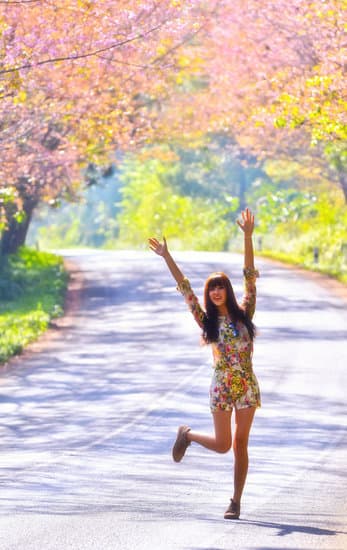 Happy Woman on the Road